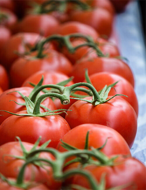 Cluster tomatoes from Peacock Family Farms at the Santa Monica Farmers Market.