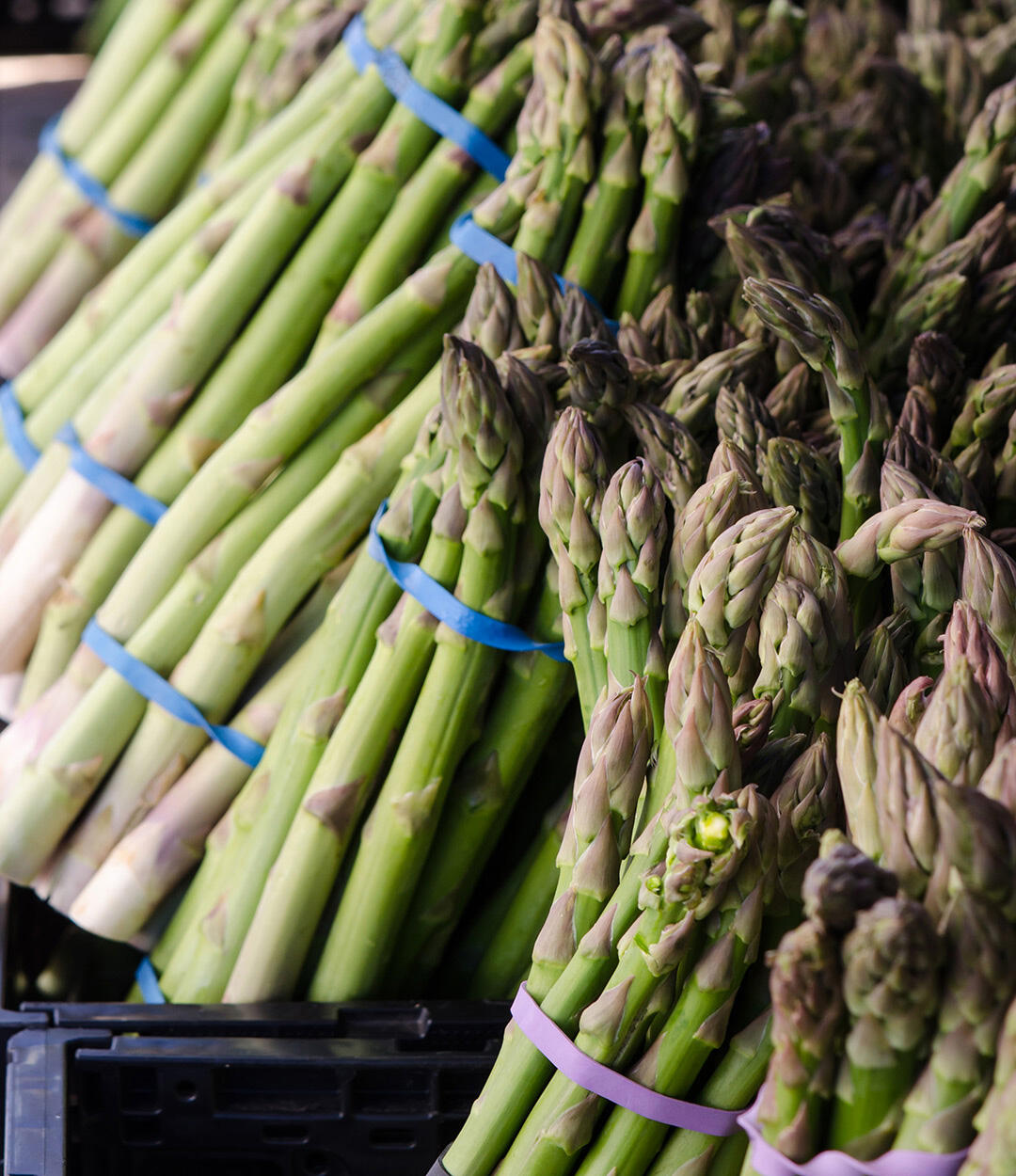 Asparagus from Zuckerman's at the Santa Monica Farmers Market