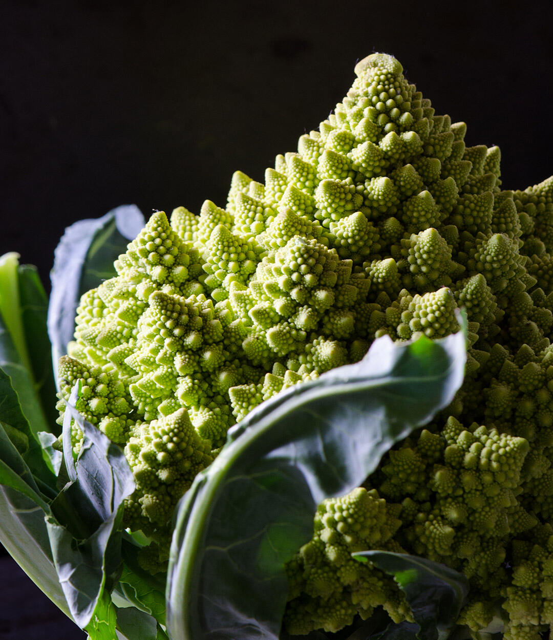 Up-close photo of Romanesco.