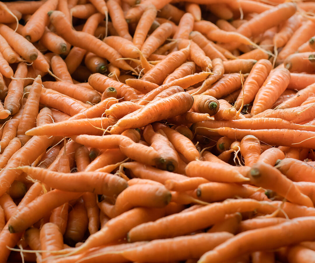 Carrots from The Garden Of at the Santa Monica Farmers Market.