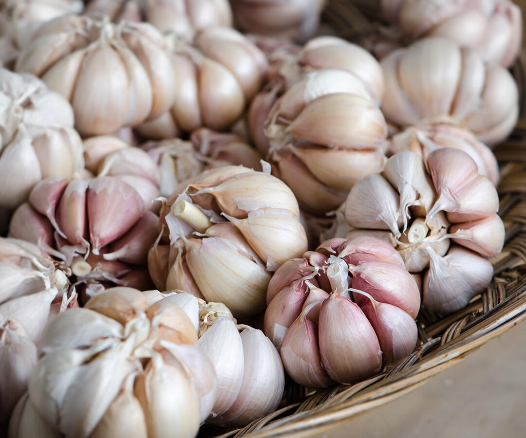 Basket of garlic at Milliken Family Farms - Santa Monica Farmers Market